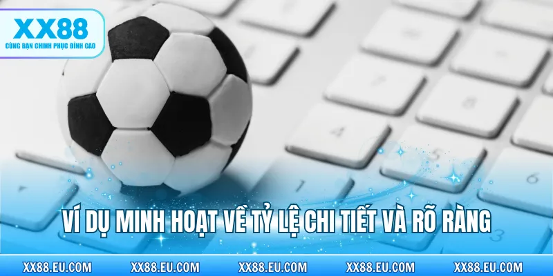 Ví dụ minh hoạ về tỷ lệ chi tiết và rõ ràng
